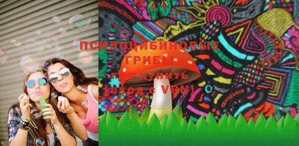ГАЛЛЮЦИНОГЕННЫЕ ГРИБЫ Рославль