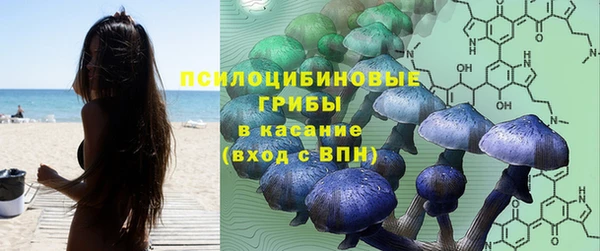 не бодяженный Абаза