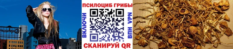 kraken сайт  что такое наркотик  Яровое  Галлюциногенные грибы мухоморы 